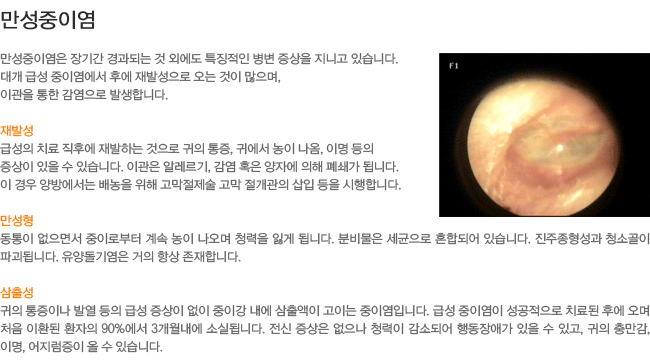 �������̿�-��߼�,������,���⼺