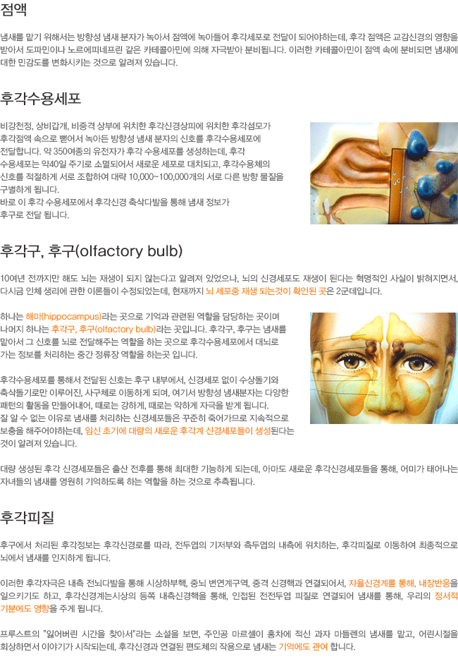 ����. �İ����뼼��. �İ���,�ı�. �İ�����