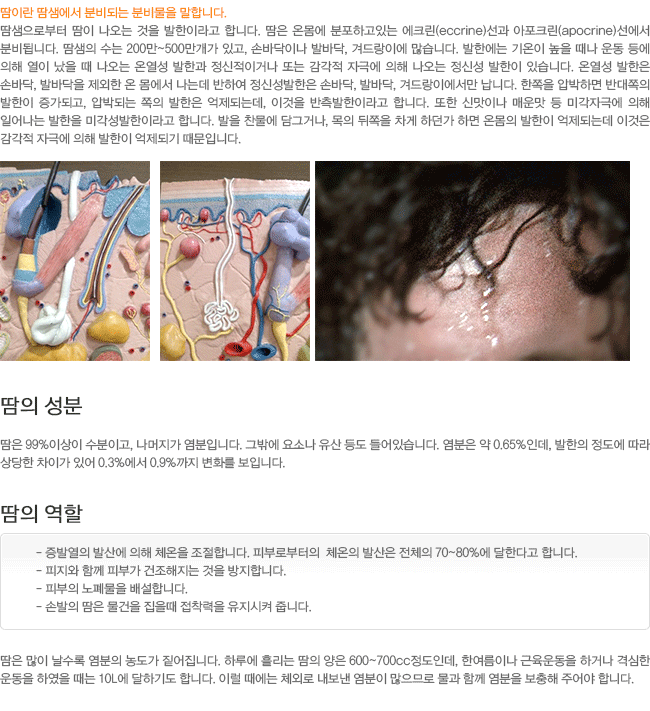 ���� ����. ���� ����